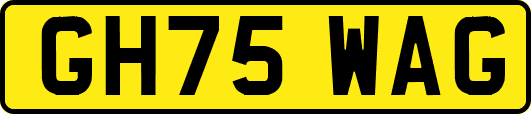 GH75WAG