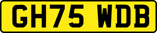 GH75WDB