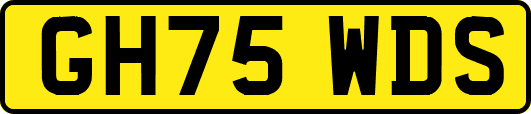 GH75WDS