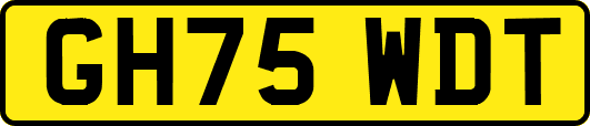 GH75WDT