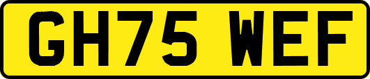 GH75WEF