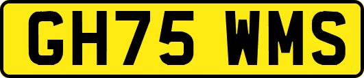 GH75WMS