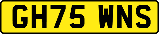 GH75WNS