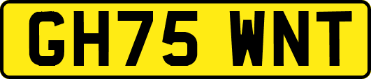 GH75WNT