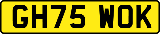 GH75WOK