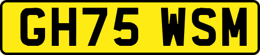 GH75WSM