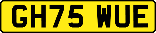 GH75WUE