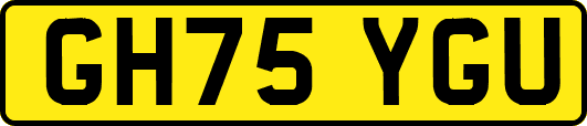 GH75YGU