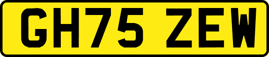 GH75ZEW