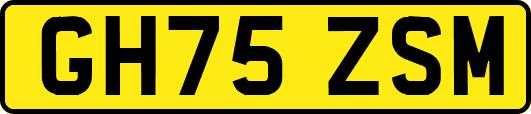 GH75ZSM
