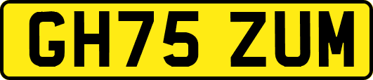 GH75ZUM