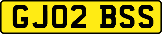 GJ02BSS