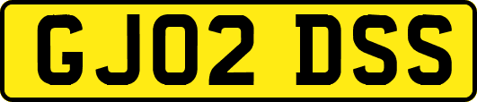 GJ02DSS