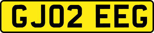 GJ02EEG