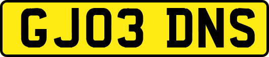 GJ03DNS
