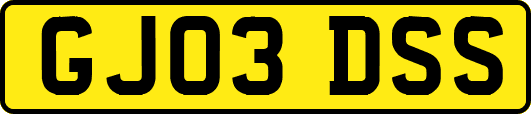 GJ03DSS