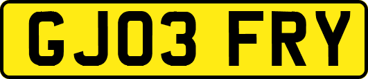 GJ03FRY