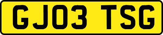 GJ03TSG