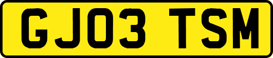 GJ03TSM