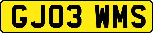 GJ03WMS