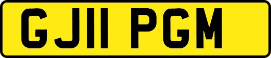 GJ11PGM