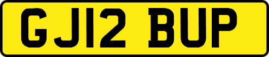 GJ12BUP
