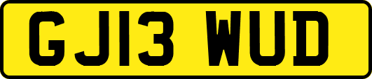 GJ13WUD