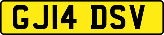 GJ14DSV