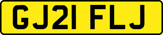 GJ21FLJ