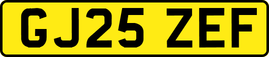GJ25ZEF