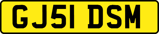 GJ51DSM