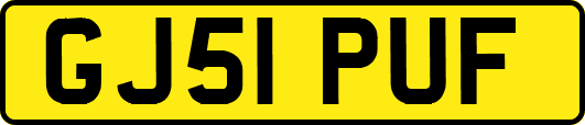 GJ51PUF