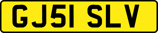 GJ51SLV
