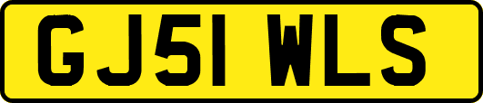 GJ51WLS