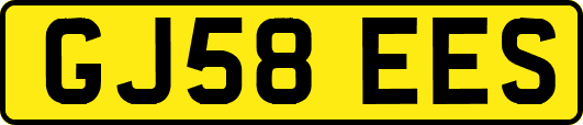 GJ58EES