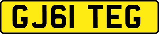 GJ61TEG