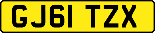 GJ61TZX