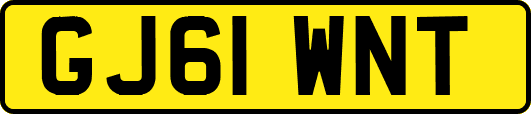 GJ61WNT