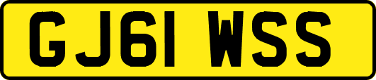 GJ61WSS