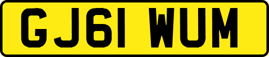 GJ61WUM