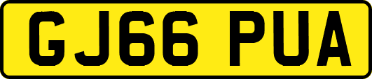 GJ66PUA