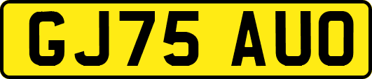 GJ75AUO