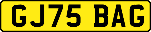 GJ75BAG