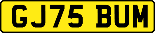GJ75BUM