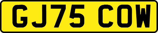 GJ75COW