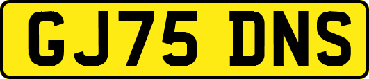 GJ75DNS