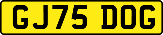 GJ75DOG