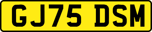GJ75DSM