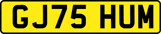 GJ75HUM