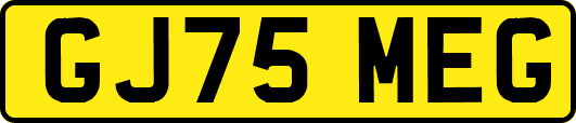 GJ75MEG